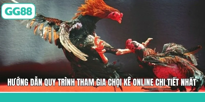 Hướng dẫn quy trình tham gia chọi kê online chi tiết nhất