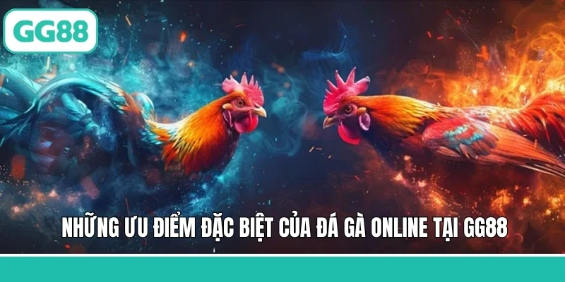 Những ưu điểm đặc biệt của đá gà online tại GG88