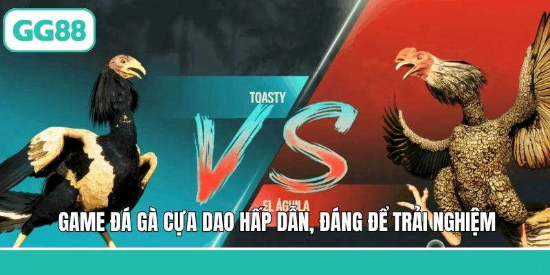 Game đá gà cựa dao hấp dẫn, đáng để trải nghiệm
