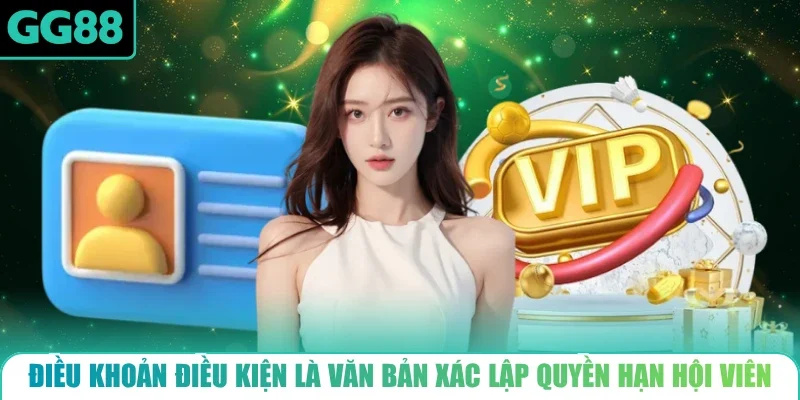 Điều khoản điều kiện là văn bản xác lập quyền hạn hội viên